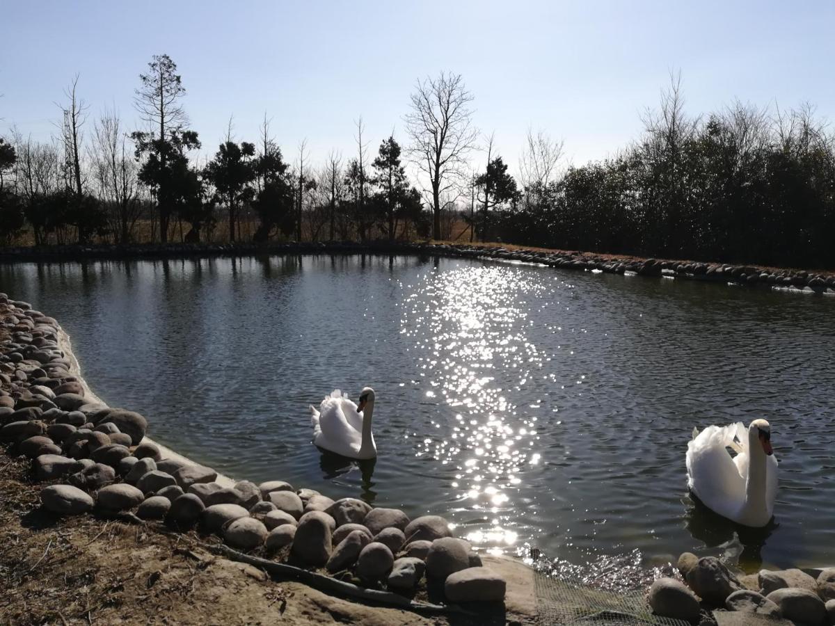 B&B Villa Dei Cigni Reali Carpi Zewnętrze zdjęcie